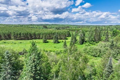 This exceptional Northwoods property offers 170+/- acres of - photo 51