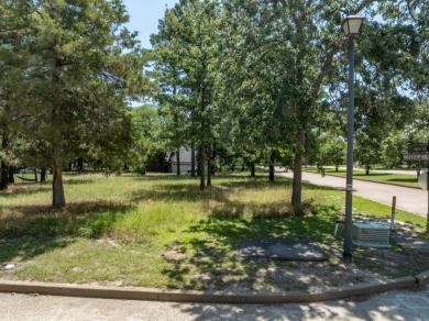Build Your Dream Home in Eagle's Bluff on Lake Palestine - photo 12