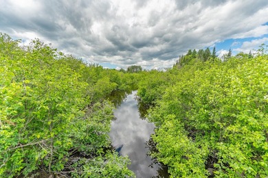 This exceptional Northwoods property offers 170+/- acres of - photo 53