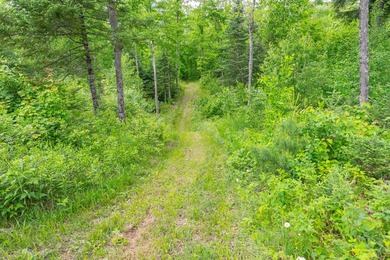 This exceptional Northwoods property offers 170+/- acres of - photo 54