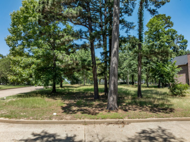 Build Your Dream Home in Eagle's Bluff on Lake Palestine - photo 13