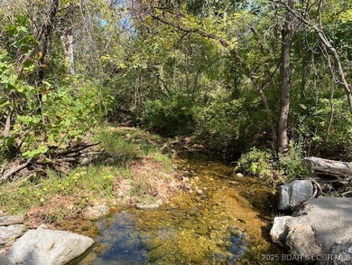 Lake of the Ozarks Acreage Active Under Contract in Camdenton Missouri