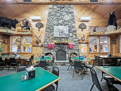 Schoodic Lake Acreage For Sale in Brownville Maine