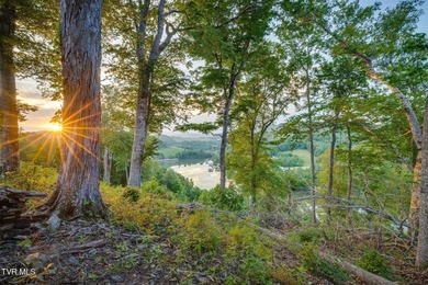 (private lake, pond, creek) Acreage For Sale in Butler Tennessee