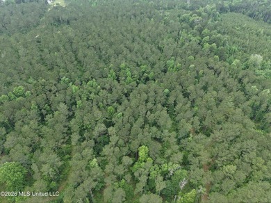 84.94+/- acres in Lincoln County, MS located just out of Wesson - photo 11