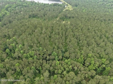84.94+/- acres in Lincoln County, MS located just out of Wesson - photo 12