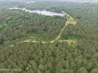 84.94+/- acres in Lincoln County, MS located just out of Wesson - photo 13