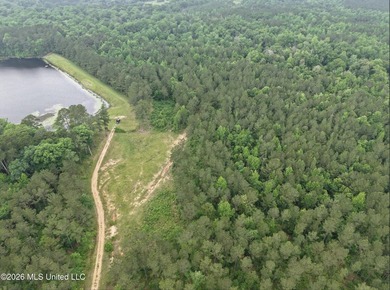 84.94+/- acres in Lincoln County, MS located just out of Wesson - photo 14