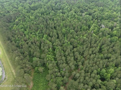 84.94+/- acres in Lincoln County, MS located just out of Wesson - photo 15