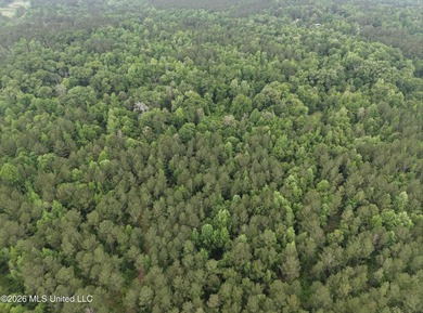 84.94+/- acres in Lincoln County, MS located just out of Wesson - photo 16