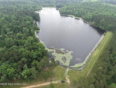 84.94+/- acres in Lincoln County, MS located just out of Wesson - photo 17