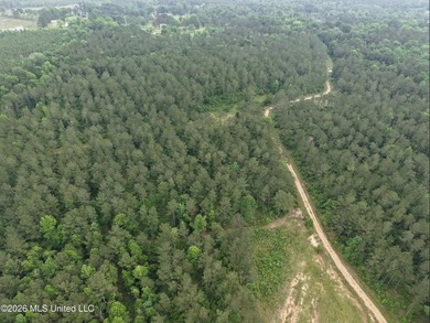 84.94+/- acres in Lincoln County, MS located just out of Wesson - photo 18