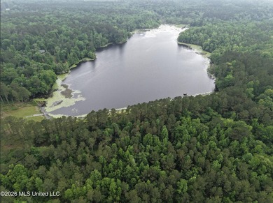 84.94+/- acres in Lincoln County, MS located just out of Wesson - photo 19