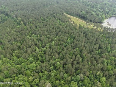 84.94+/- acres in Lincoln County, MS located just out of Wesson - photo 20
