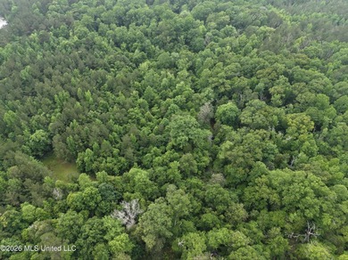 84.94+/- acres in Lincoln County, MS located just out of Wesson - photo 21