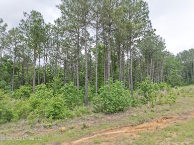 84.94+/- acres in Lincoln County, MS located just out of Wesson - photo 22