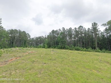 84.94+/- acres in Lincoln County, MS located just out of Wesson - photo 23