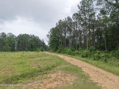 84.94+/- acres in Lincoln County, MS located just out of Wesson - photo 24