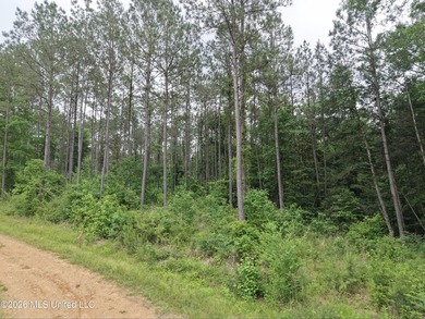 84.94+/- acres in Lincoln County, MS located just out of Wesson - photo 25