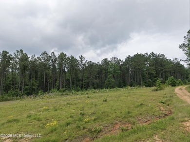84.94+/- acres in Lincoln County, MS located just out of Wesson - photo 26