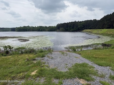 84.94+/- acres in Lincoln County, MS located just out of Wesson - photo 28