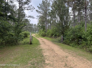 84.94+/- acres in Lincoln County, MS located just out of Wesson - photo 29