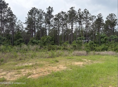 84.94+/- acres in Lincoln County, MS located just out of Wesson - photo 30