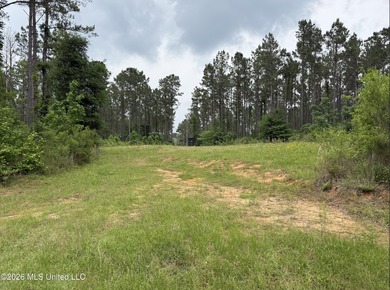 84.94+/- acres in Lincoln County, MS located just out of Wesson - photo 31