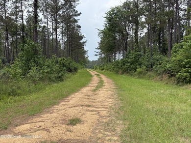 84.94+/- acres in Lincoln County, MS located just out of Wesson - photo 32