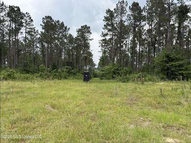 84.94+/- acres in Lincoln County, MS located just out of Wesson - photo 34