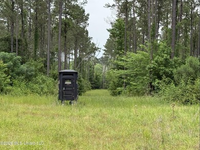 84.94+/- acres in Lincoln County, MS located just out of Wesson - photo 35
