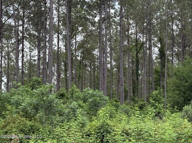 84.94+/- acres in Lincoln County, MS located just out of Wesson - photo 36