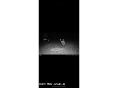 84.94+/- acres in Lincoln County, MS located just out of Wesson - photo 43