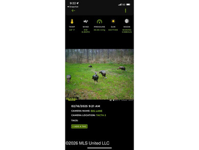 84.94+/- acres in Lincoln County, MS located just out of Wesson - photo 48