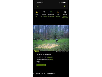 84.94+/- acres in Lincoln County, MS located just out of Wesson - photo 49