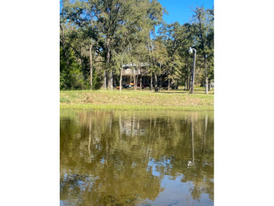 Unique Lakehouse & Creek-Front Retreat - photo 5