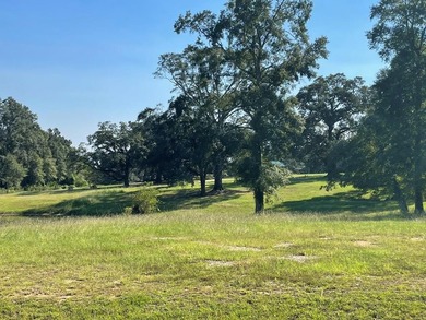 3.57 with pond & ac with the most beautiful live oaks in the - photo 2