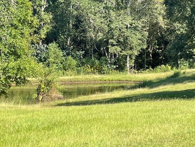 3.57 with pond & ac with the most beautiful live oaks in the - photo 4