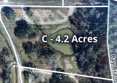 3.57 with pond & ac with the most beautiful live oaks in the - photo 5