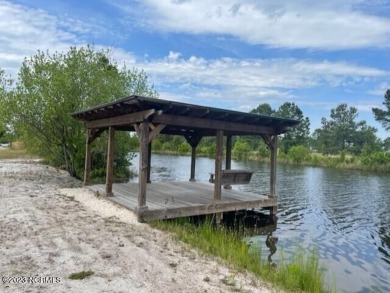 Bay Tree Lake Lot For Sale in Harrells North Carolina