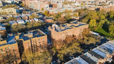 **Charming Newly Renovated 1-Bedroom Coop Near Lefferts Garden**