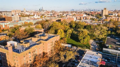 **Charming Newly Renovated 1-Bedroom Coop Near Lefferts Garden**