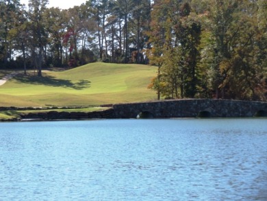 Build Your Dream Home in Eagle's Bluff on Lake Palestine - photo 31