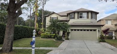 (private lake, pond, creek) Home For Sale in Lutz Florida