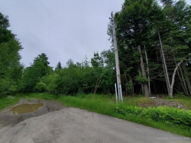 (private lake, pond, creek) Lot For Sale in Princeton Maine