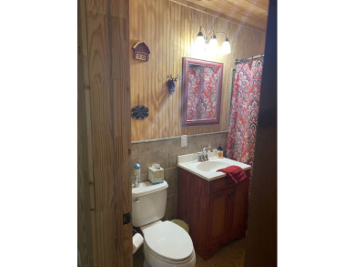 Unique Lakehouse & Creek-Front Retreat - photo 23