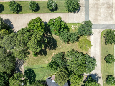 Build Your Dream Home in Eagle's Bluff on Lake Palestine - photo 2