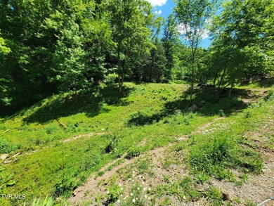 (private lake, pond, creek) Acreage For Sale in Rogersville Tennessee