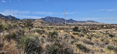 (private lake, pond, creek) Acreage For Sale in Hereford Arizona