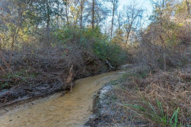 (private lake, pond, creek) Home For Sale in Defuniak Springs Florida